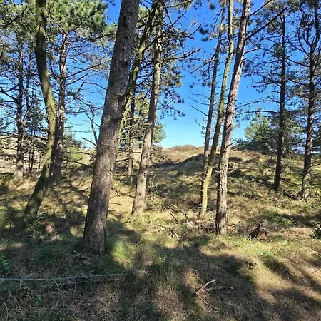 8 Person In Romo * Kongsmark